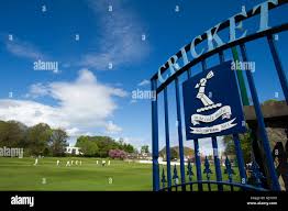 Image result for Carlton Cricket Club