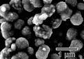 Preparation of poly(lactic acid) composites containing calcium ...