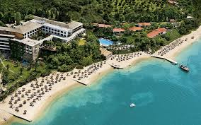 Image result for Palace Eagles Octopush Club