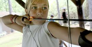 Image result for West Windsor Archers