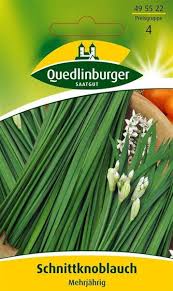 Image result for Schnittknoblauch