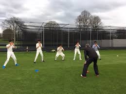 Image result for Halstead Colts Cricket Club