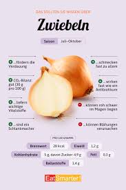 Image result for Zwiebeln