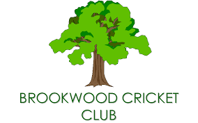 Image result for Wokingx1 Cricket Club