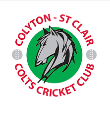 Image result for Halstead Colts Cricket Club