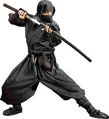 Image result for M-S-N Ninjutsu (Bujinkan) Club