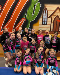 Image result for Derby Diamonds Netball Club