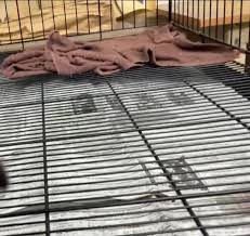 個人攻撃SURE에 대한 이미지 검색결과