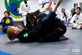 Image result for Worthington Martial Arts Institute