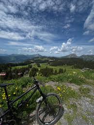 Image result for Epping Forest Mountain Bike Club