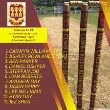 Image result for Clwb Criced A Bowlio Bethesda