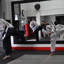 Image result for Freedom Martial Arts