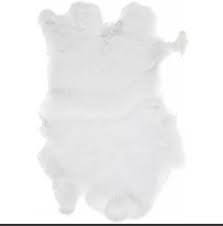 Image result for white rabbit skin texture