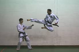 Image result for Hed Tkd (Dorking Tae Kwon-Do)