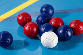 Image result for North Wales Boccia