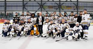 Image result for Romford Junior Ice Hockey Club