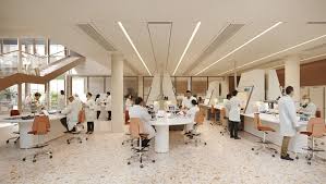 Image result for Austerlands Institute