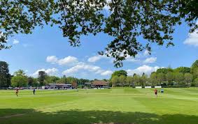 Image result for Stort Cricket Club
