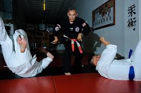 Image result for Taunton Karate Jutsu