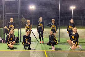 Image result for Medway Panthers Netball Club
