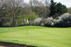 Image result for Pachesham Park Golf Centre