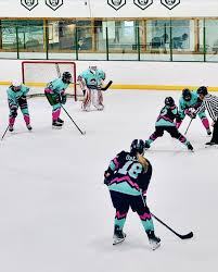 Image result for Pontypool Skater Hockey Club