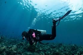 Image result for World Divers