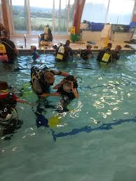 Image result for Haywards Heath Swimming Club