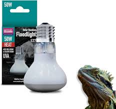 Risultati immagini per arcadia basking solar flood