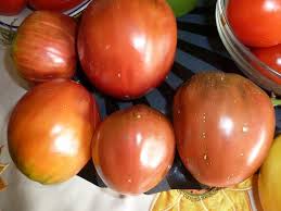 Afbeeldingsresultaat voor black oxheart tomato