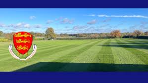Image result for Odiham & Greywell Cricket Club