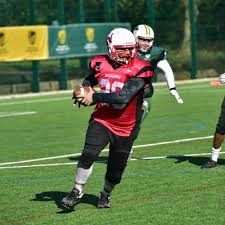 Image result for Staffordshire Stallions