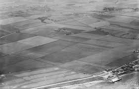 Image result for Cockenzie & Port Seton Bowling Club