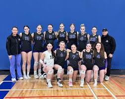 Image result for Chesterfield Cobras Volleyball Club