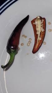 Afbeeldingsresultaat voor cayenne blend hot pepper