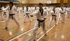 Image result for Synergy Tae Kwon Do