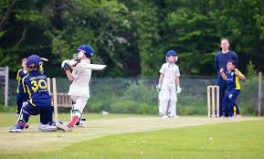 Image result for Southern Railway & Kenley Cricket Club