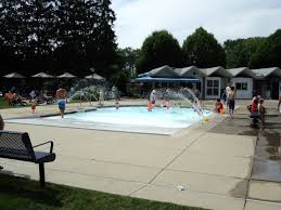 Image result for Feltham Swimming Club