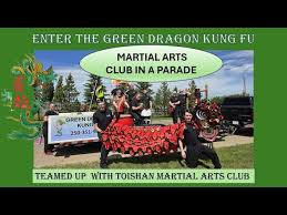 Image result for Dragon Wushu Club