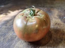 Afbeeldingsresultaat voor carbon tomato