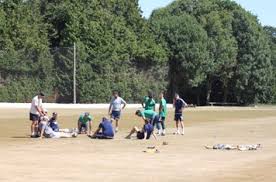 Image result for North Perrott Cc