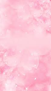 Image result for FOTO ROSA