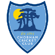 Image result for Woking and Horsell Cricket Club