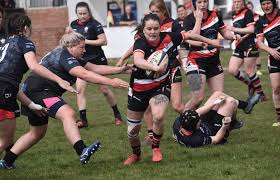 Image result for Teignmouth Rugby Football Club