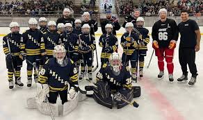 Image result for Lysander Badminton Club