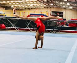 Image result for Wolverhampton Gymnastics Club
