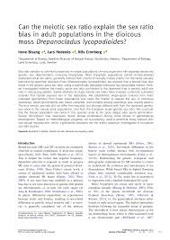 Attēlu rezultāti vaicājumam “Drepanocladus trifarius”