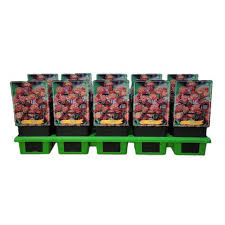 Attēlu rezultāti vaicājumam “Astrantia major fruit”