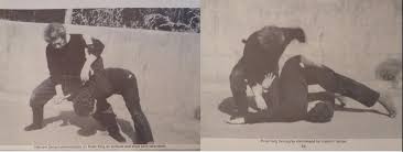 Image result for Peter Kings Dojo