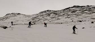 Image result for Tyneside Loipers